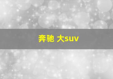 奔驰 大suv